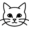 Chat Chat Chat