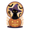 Witch cat with pumpkin view