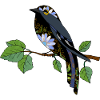 Bunter Vogel