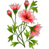 Fleur
