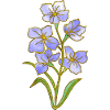 Fleur