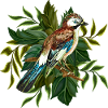 Bunter Vogel
