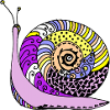 snail