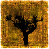 Vogelbaum Silhouette im Herbstfarben-Design