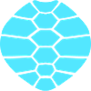 Turtle shell pattern turtle icon cool