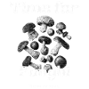 Champignons - Le temps des champignons