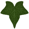 Elegant Green Ivy Leaf Pattern