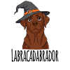 Labracadabrador Hexenhut Design
