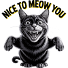 Nice to Meow You Cat