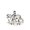 WILDES TEXANISCHES MÄDCHEN PFERD LANDLEBEN