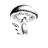 Mushroom design with lettering