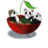 Pandas Ramen Japanese Shirt