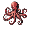 Detailed squid illustration