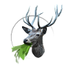 Vomiting deer