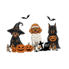 Dog Halloween