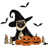 Dog Halloween