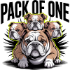 Pack of One Bulldog