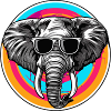 Elephant with sunglasses