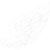 Wings with dynamic feather drawing