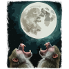 Moon and baboon night sky