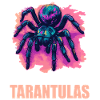 Tarantulas Tarantula