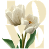 Elegant Cream Tulip Floral Design