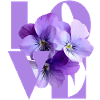 Pensée violette Art floral