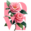 Elegant Camelia Pink Floral Composition