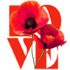 Lebendiges Mohnblumen-Kunstdesign