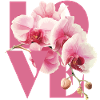 Elegant Orchid Floral Design