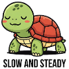 Turtle Slow and Steady Design