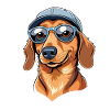 Funny dachshund with sunglasses and hat
