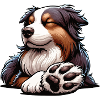 Australian Shepherd Aussie Aussie Owners Aussies