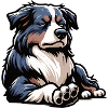 Australian Shepherd Aussie Aussiebesitzer Aussies