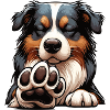 Australian Shepherd Aussie Aussiebesitzer Aussies