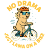 No Drama Lama Bike Adventure