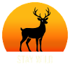 Deer at sunset – Stay Wild