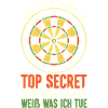 Darts Dart Dartboard Dartboard Dart Player