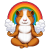 Guinea Pig Meditation