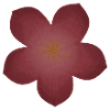 Elegant Flower Blossom Design