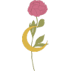 Elegant Floral Crescent