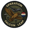 Falcon Leap Operation Patch