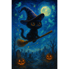 Black cat with witch's broom