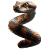 snake, python, cobra, rattlesnake, snakes