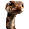 snake, python, cobra, rattlesnake, snakes