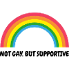 Pas gay mais solidaire – Retro Rainbow