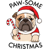 Noël – Grumpy Bulldog