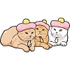 Pink Pastry Hatted Kittens