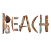 Natural Flotsam Letter Design