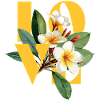 Tropical Floral Frangipani Love Design